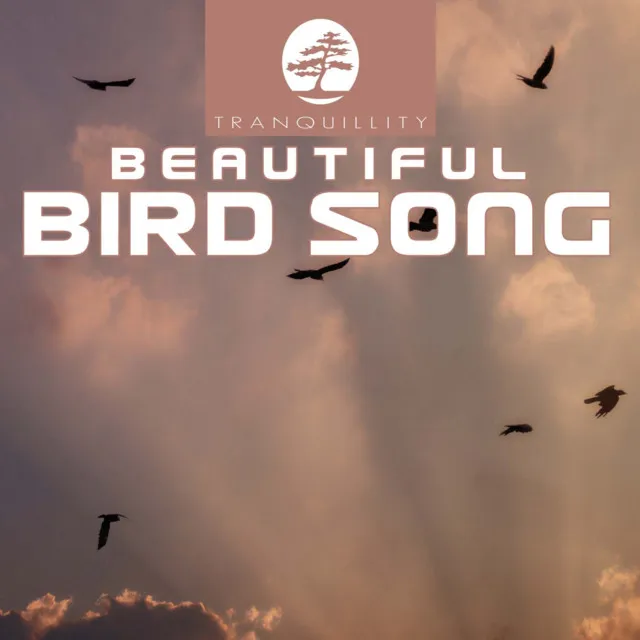 Beautiful Birdsong