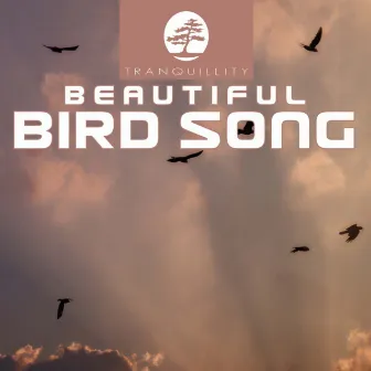 Beautiful Birdsong by Levantis & Friends