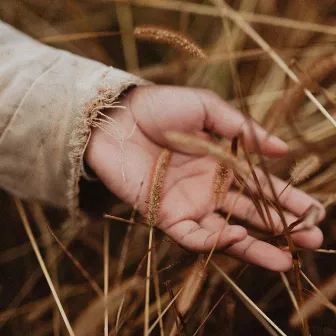 Lord of the harvest by WEB.