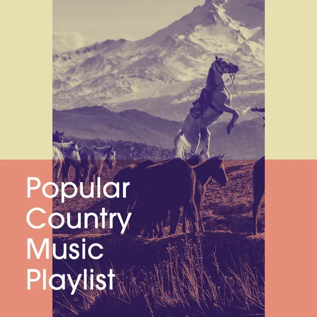 Popular Country Music Playlist