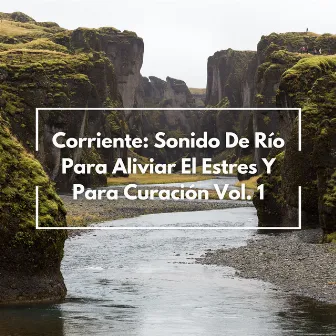 Corriente: Sonido De Río Para Aliviar El Estres Y Para Curación Vol. 1 by Los chicos de relajación