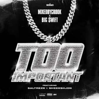 Too Important by MixedByCrook