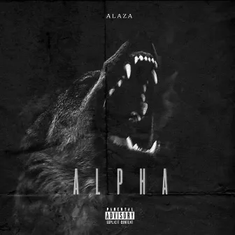 Alpha by Alaza