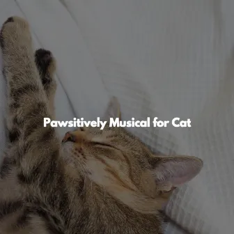 Pawsitively Musical for Cat by Música Ambiental para Bares