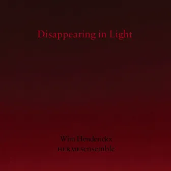 Disappearing in Light by Wim Henderickx