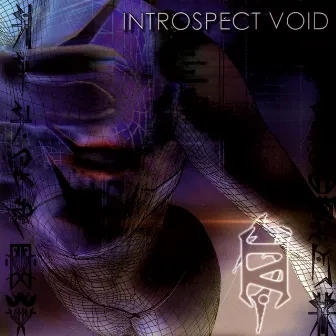 Reality is Defective by Introspect Void