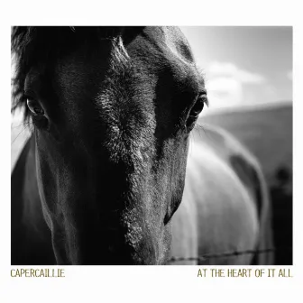 At the Heart of It All by Capercaillie