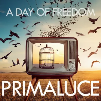 A Day of Freedom by Primaluce