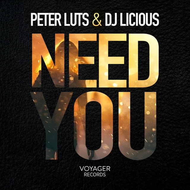 Need You - Radio Edit