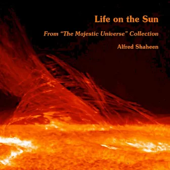 Life on the Sun by Alfred Shaheen