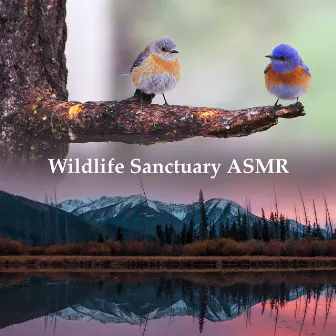 Wildlife Sanctuary ASMR by Wildlife Bill