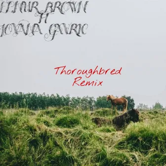 Thoroughbred (Remix) by Elnur Brown