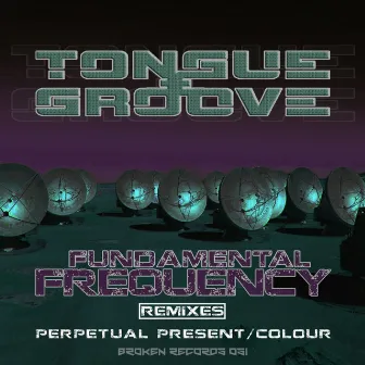 The Fundamental Frequency Remixes by Tongue & Groove