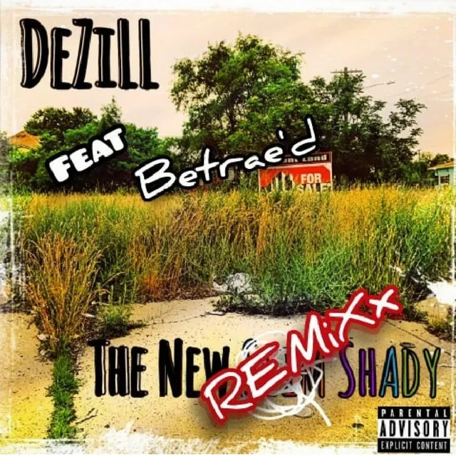 The New Shady - Remix