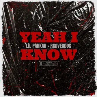 YEAH I KNOW by Lil Parkar