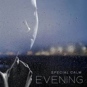 Special Calm Evening – Soothing New Age Music Perfect for Reading Books by Gentle Music Sanctuary