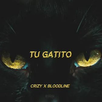 Tu Gatito by Crizy