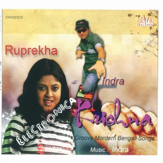 Electronica Krishna by Ruprekha