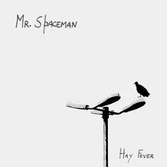 Hay Fever by Mr. Spaceman