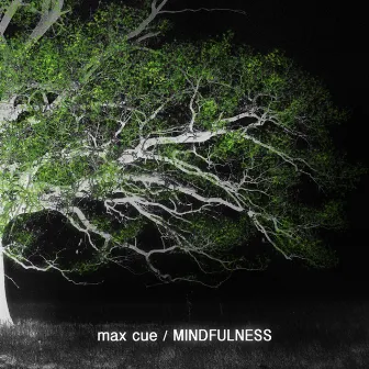 Mindfulness by Max Cue