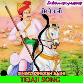 Teja Ji Song by Pinkesh Saini