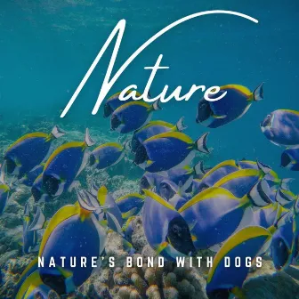 Nature's Bond with Dogs: Relaxing Tunes by Recording Nature