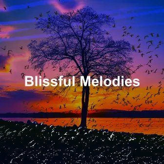 Blissful Melodies by Sonidos Del Bosque