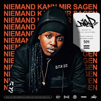 Niemand kann mir sagen by Die P