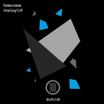 I Know Kung Fu EP by Pointless Animals