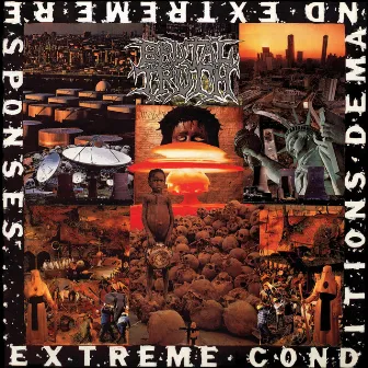 Extreme Conditions Demand Extreme Responses by Brutal Truth