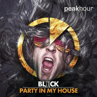 Party In My House by Black