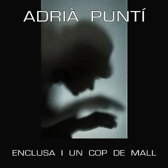 Enclusa i un cop de mall by Adrià Puntí