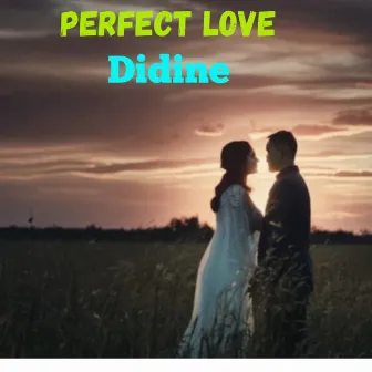 Perfect Love by Didine