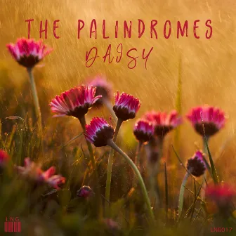 Daisy by The Palindromes