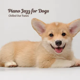 Piano Jazz for Dogs: Chilled Out Tunes by Soft Acoustic Jazz