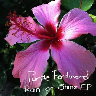 Rain or Shine by Purple Ferdinand