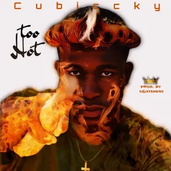 Too Hot by Cubiccky