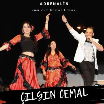 Adrenalin (Zum Zum Roman Havası, 9/8) by Çılgın Cemal