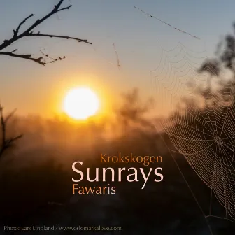 Krokskogen - Sunrays by Fawaris