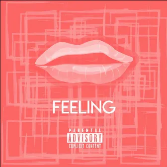 Feeling by Animal Pack