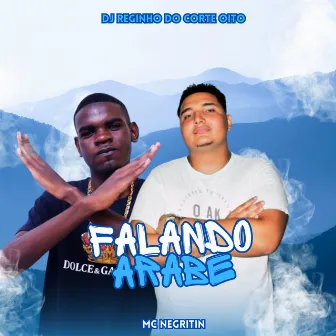 Falando em Arabe by Dj JR da Mangueirinha