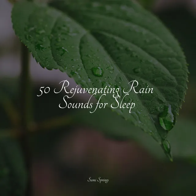 50 Rejuvenating Rain Sounds for Sleep