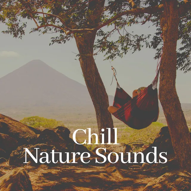 Chill Nature Sounds