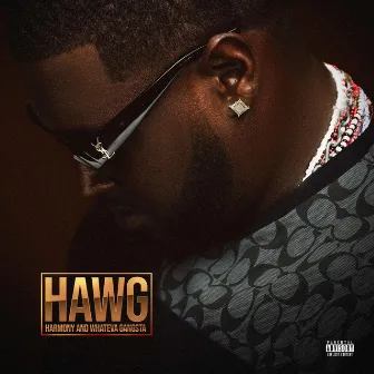 H.A.W.G by Da Hawg