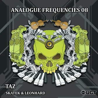 Analogue Frequencies 08 by Taz