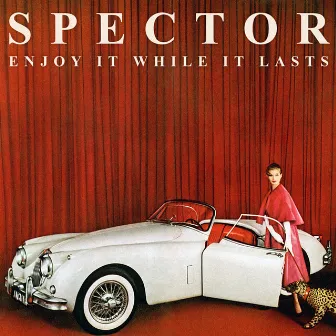 Enjoy It While It Lasts by Spector