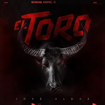 El Toro by Jose Aldaz