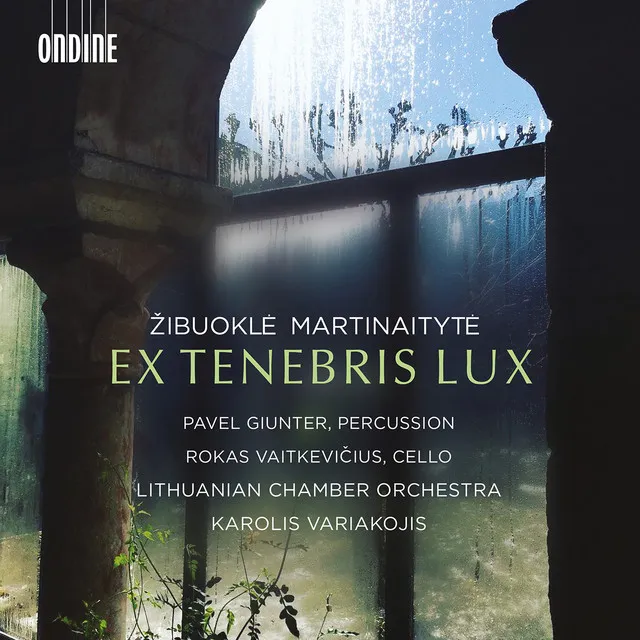 Žibuoklė Martinaitytė: Ex tenebris lux