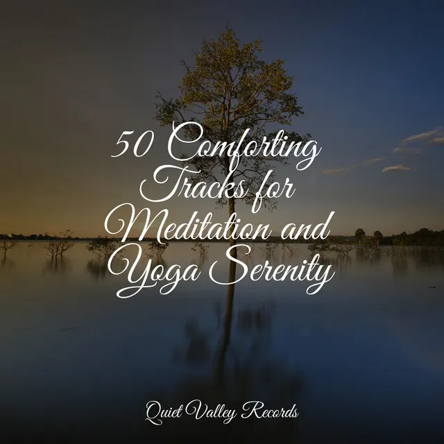 50 Comforting Tracks for Meditation and Yoga Serenity