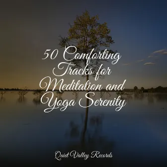 50 Comforting Tracks for Meditation and Yoga Serenity by Música Zen Relaxante